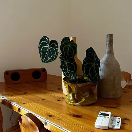 A Casa Di Nonna Iolanda Apartamento *